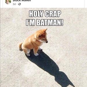 Meet your Posher, Sam